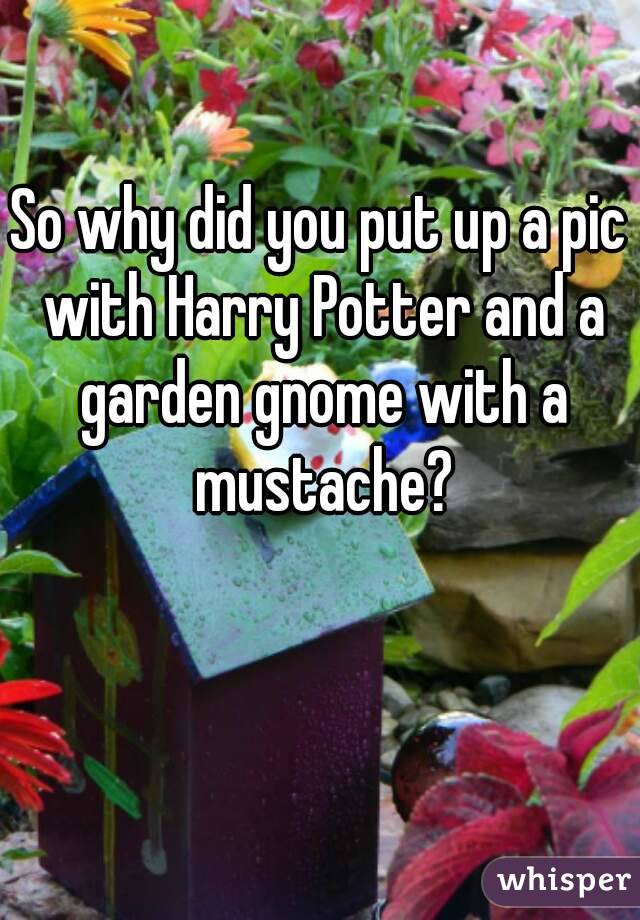 So why did you put up a pic with Harry Potter and a garden gnome with a mustache?