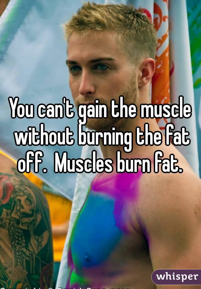 You can't gain the muscle without burning the fat off.  Muscles burn fat. 