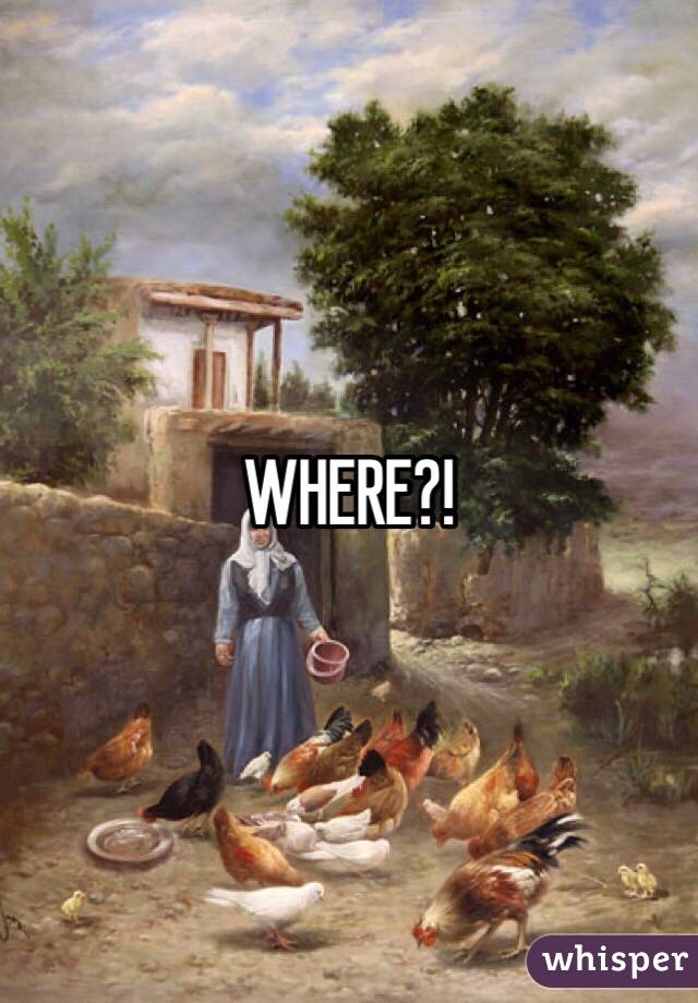 WHERE?!