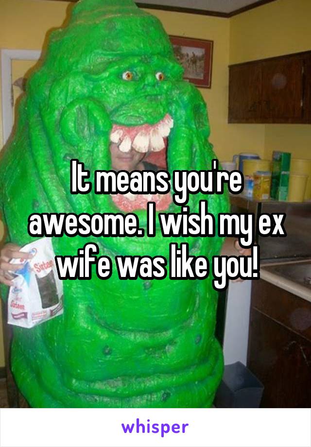 It means you're awesome. I wish my ex wife was like you!