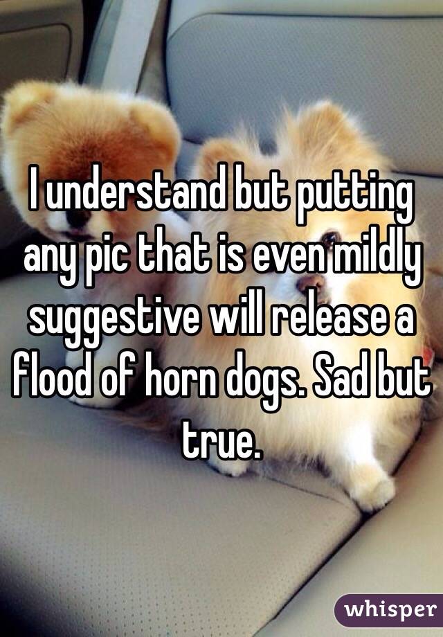 I understand but putting any pic that is even mildly suggestive will release a flood of horn dogs. Sad but true. 