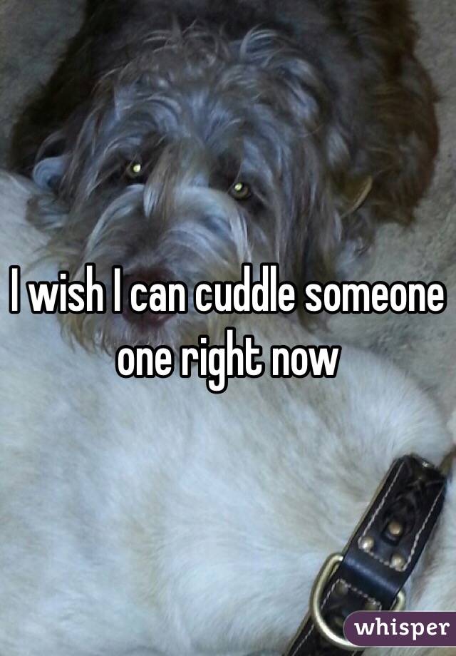 I wish I can cuddle someone one right now