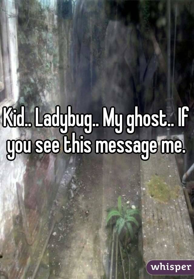 Kid.. Ladybug.. My ghost.. If you see this message me. 
