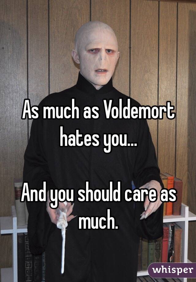 As much as Voldemort hates you...

And you should care as much. 