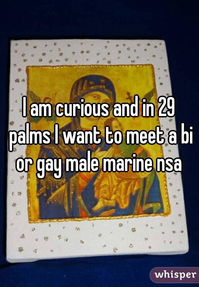I am curious and in 29 palms I want to meet a bi or gay male marine nsa 
