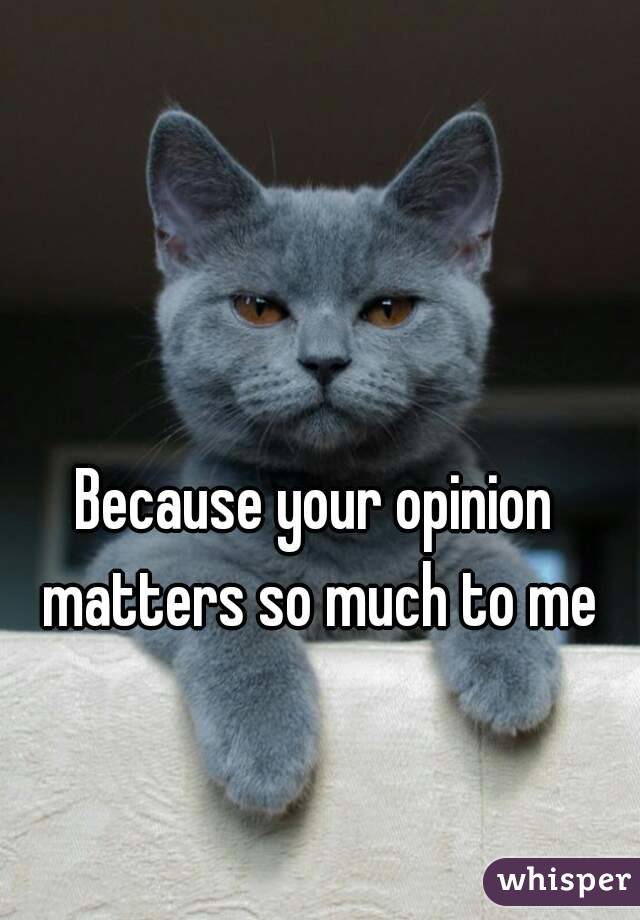 Because your opinion matters so much to me
