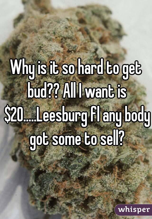 Why is it so hard to get bud?? All I want is $20.....Leesburg fl any body got some to sell?