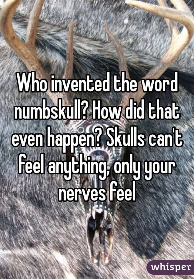 Who invented the word numbskull? How did that even happen? Skulls can't feel anything, only your nerves feel