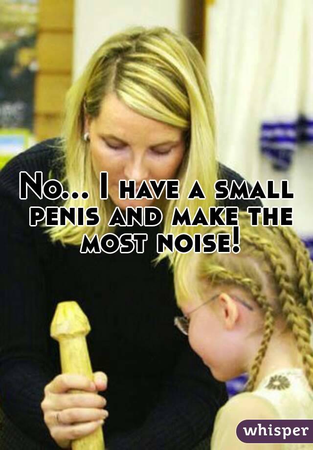 No... I have a small penis and make the most noise!