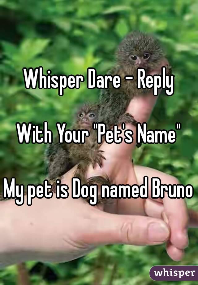 Whisper Dare - Reply

With Your "Pet's Name"

My pet is Dog named Bruno