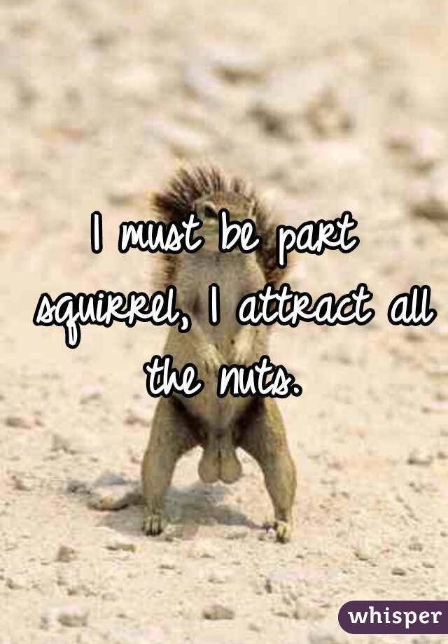I must be part squirrel, I attract all the nuts. 