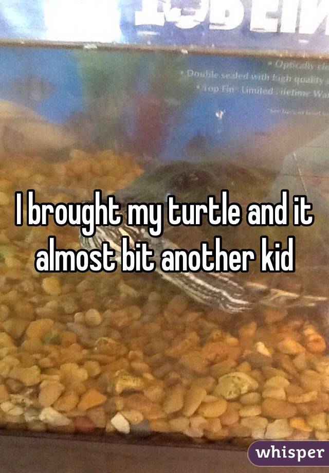 I brought my turtle and it almost bit another kid