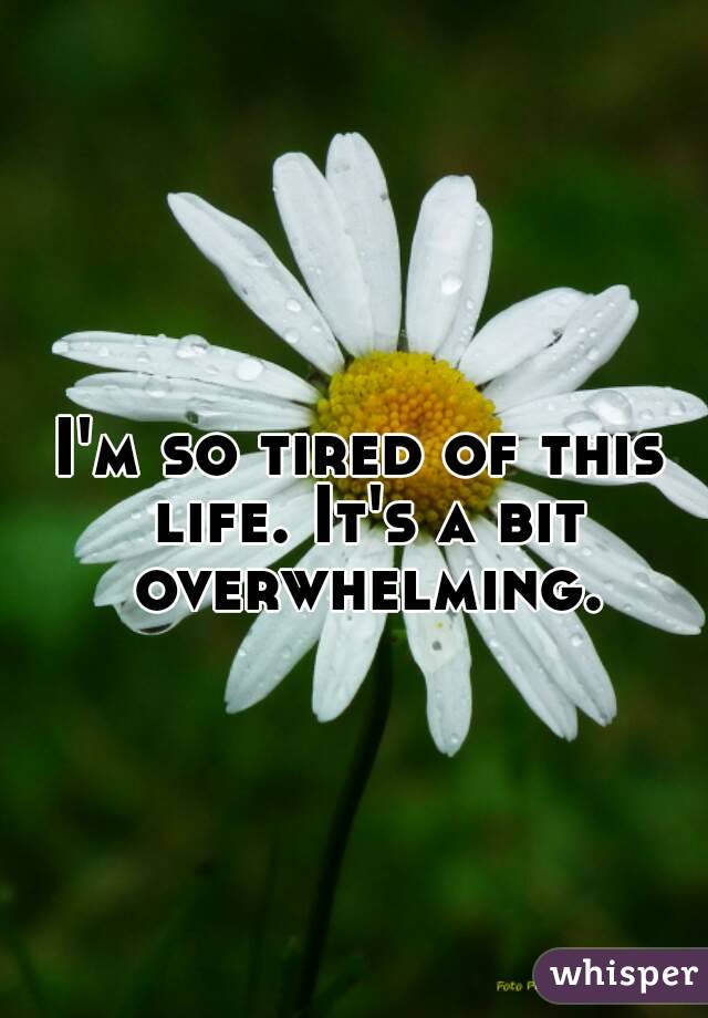 I'm so tired of this life. It's a bit overwhelming.