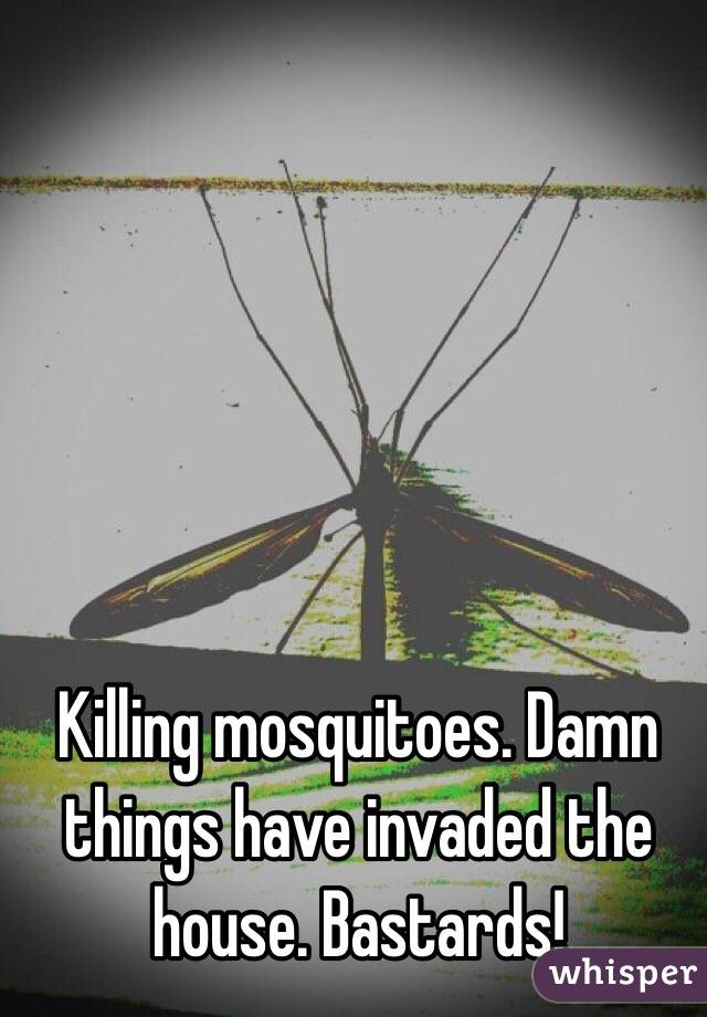 Killing mosquitoes. Damn things have invaded the house. Bastards!