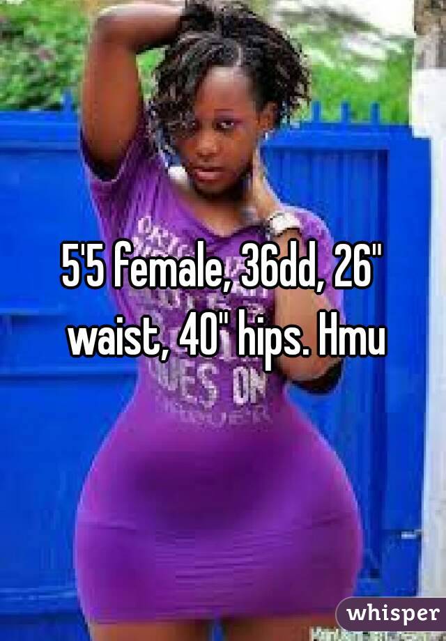 5'5 female, 36dd, 26" waist, 40" hips. Hmu