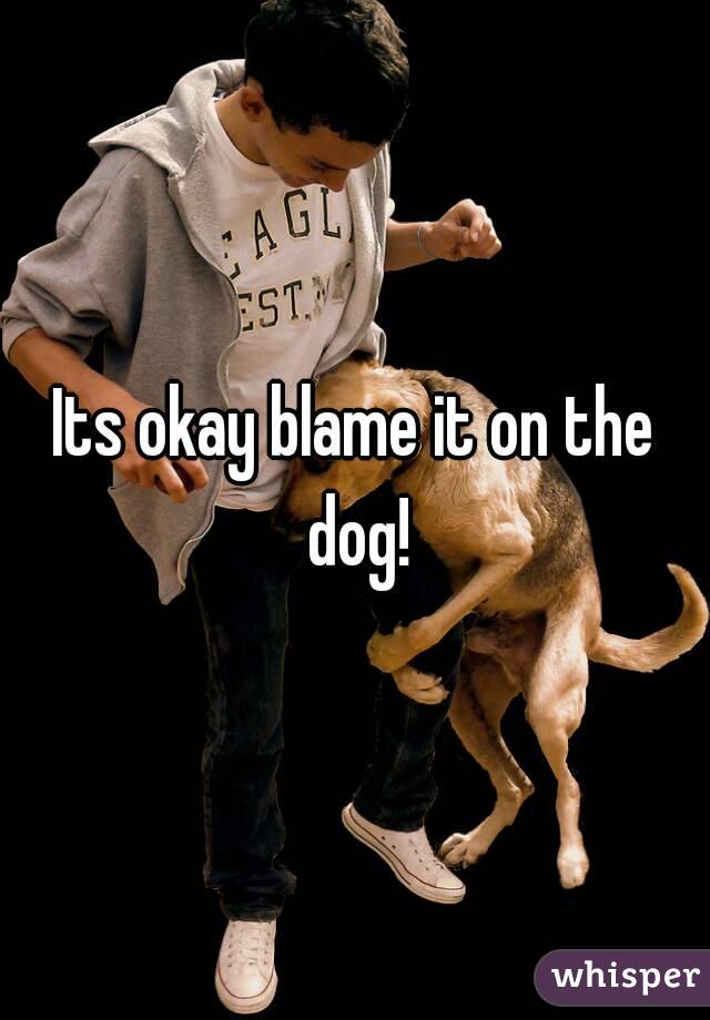 Its okay blame it on the dog!