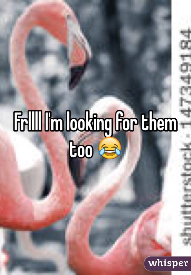 Frllll I'm looking for them too 😂