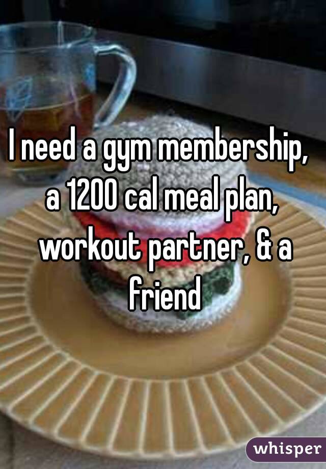 I need a gym membership,  a 1200 cal meal plan,  workout partner, & a friend