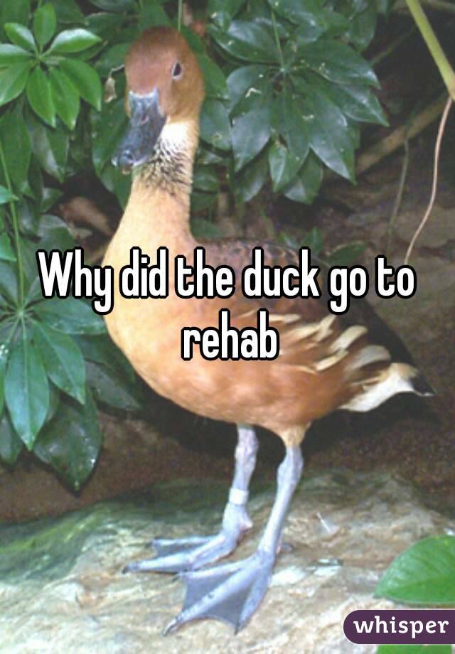 Why did the duck go to rehab