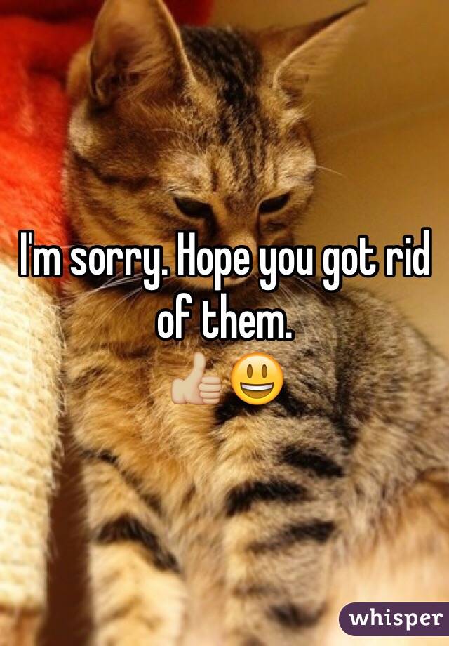 I'm sorry. Hope you got rid of them.
👍🏼😃