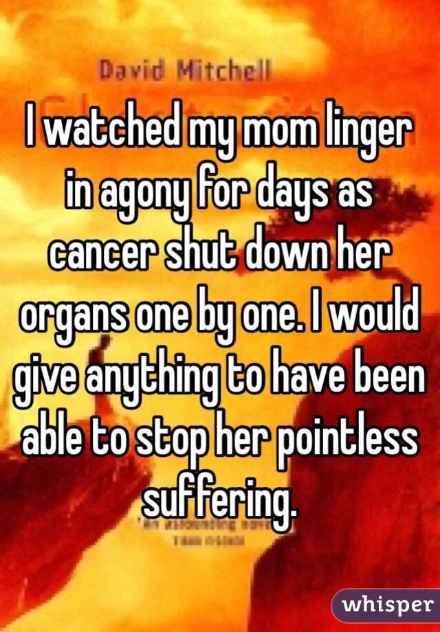 I watched my mom linger in agony for days as cancer shut down her organs one by one. I would give anything to have been able to stop her pointless suffering.