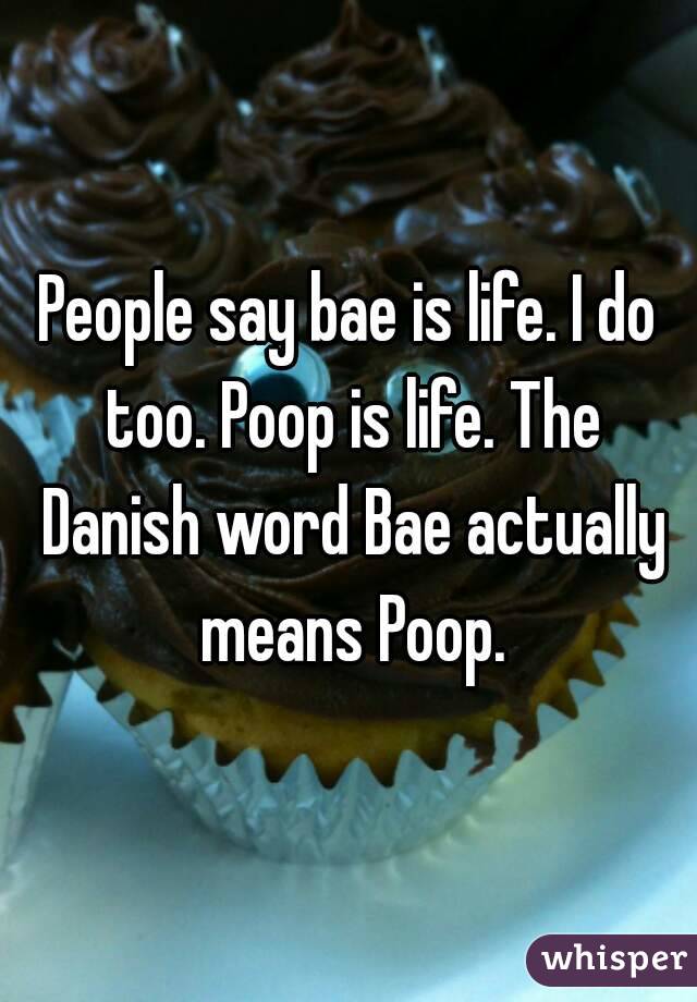 People say bae is life. I do too. Poop is life. The Danish word Bae actually means Poop.