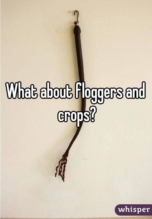 What about floggers and crops?