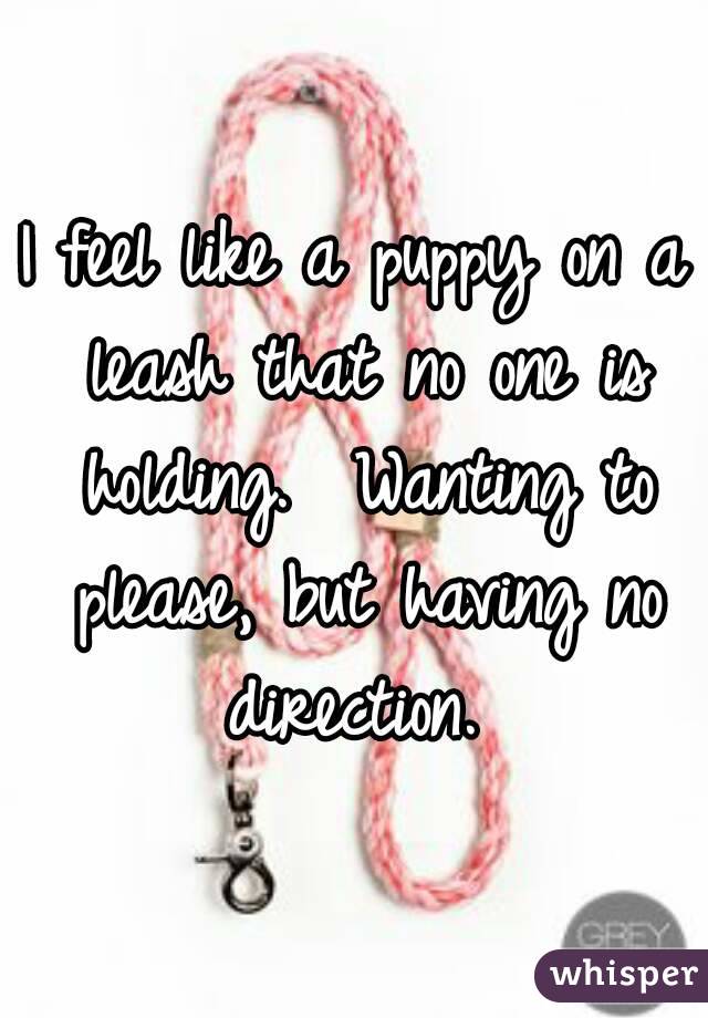 I feel like a puppy on a leash that no one is holding.  Wanting to please, but having no direction. 