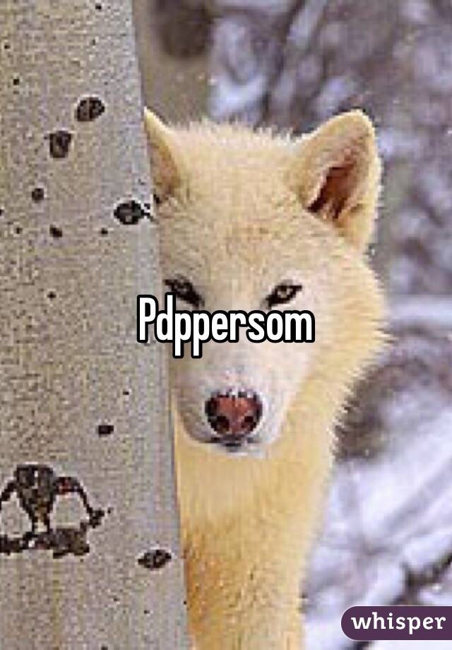 Pdppersom 