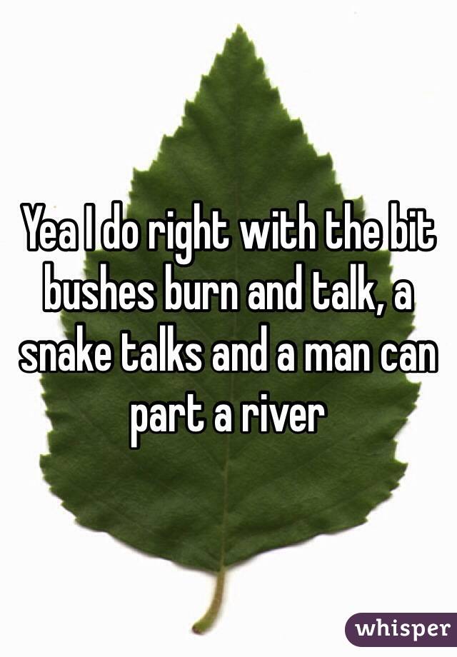 Yea I do right with the bit bushes burn and talk, a snake talks and a man can part a river