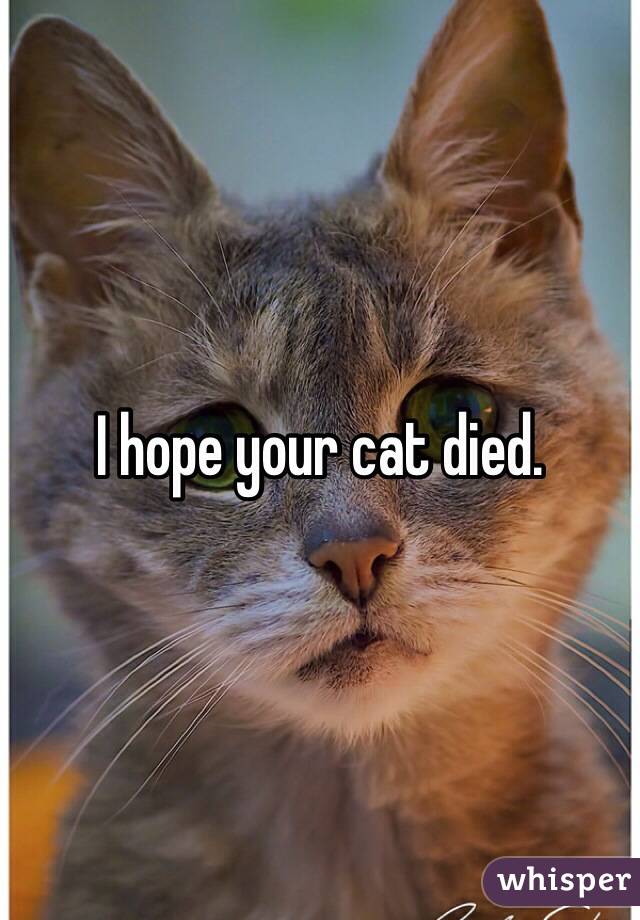 I hope your cat died.