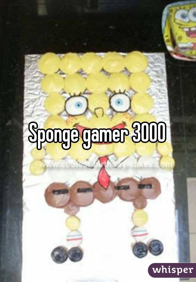 Sponge gamer 3000