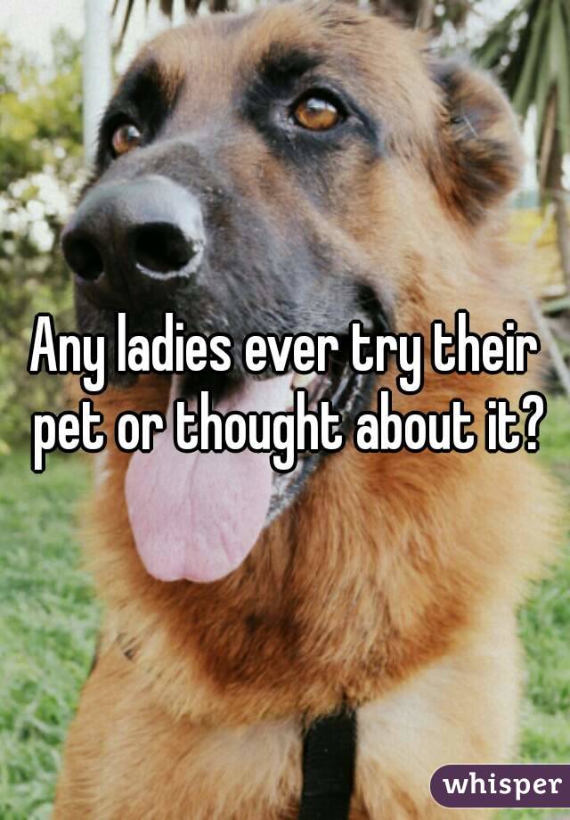 Any ladies ever try their pet or thought about it?