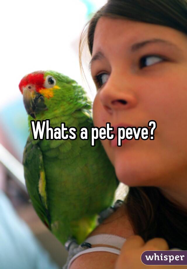 Whats a pet peve?