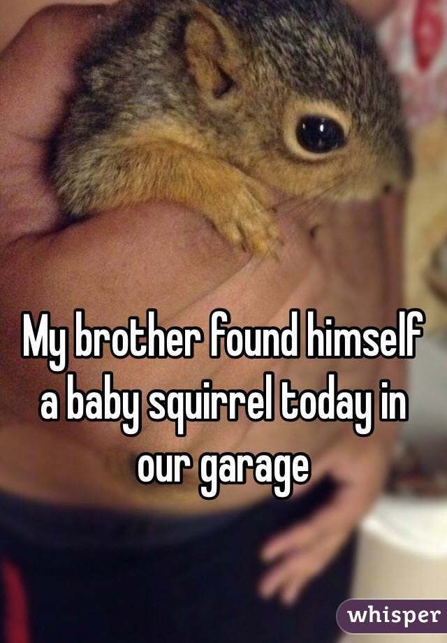 My brother found himself a baby squirrel today in our garage 