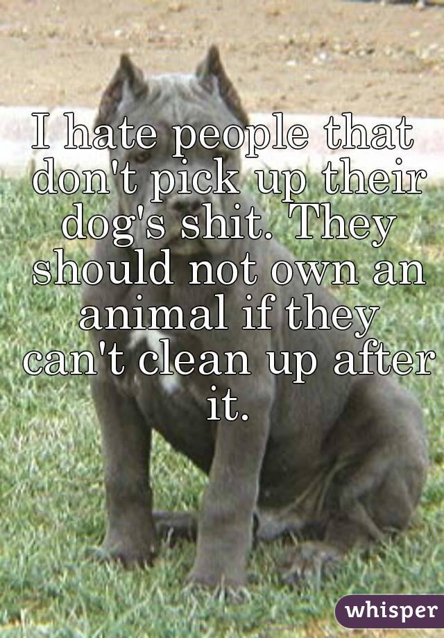 I hate people that don't pick up their dog's shit. They should not own an animal if they can't clean up after it.