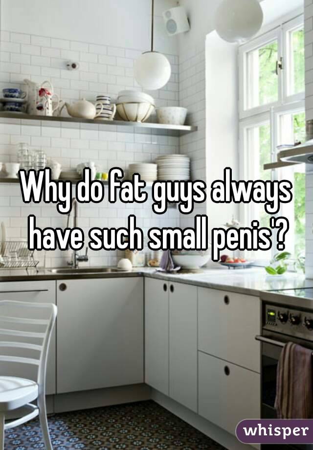 Why do fat guys always have such small penis'?