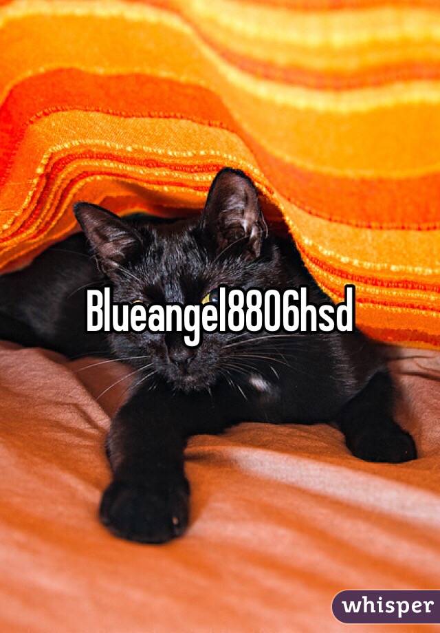 Blueangel8806hsd 