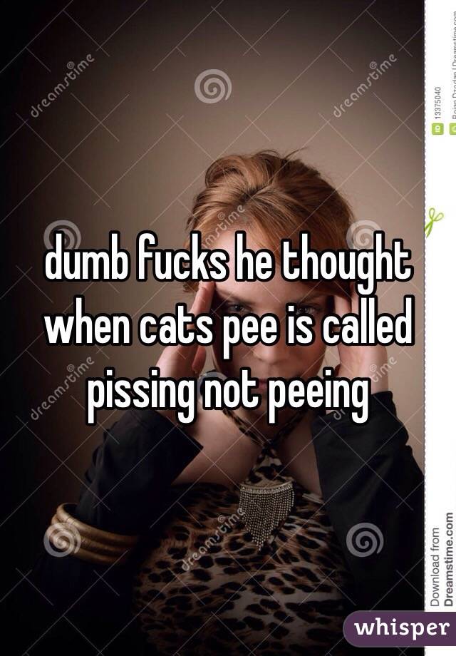 dumb fucks he thought when cats pee is called pissing not peeing 