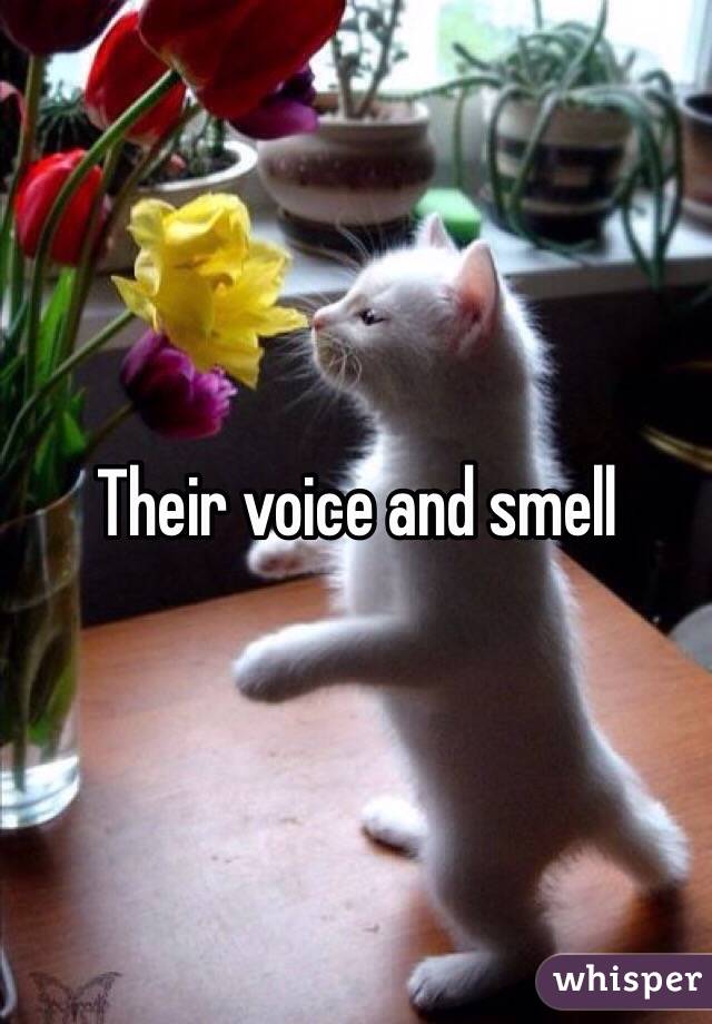 Their voice and smell
