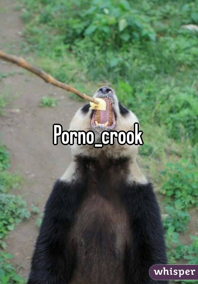 Porno_crook