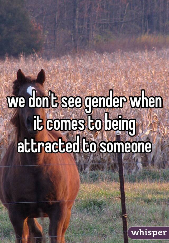 we don't see gender when it comes to being attracted to someone 