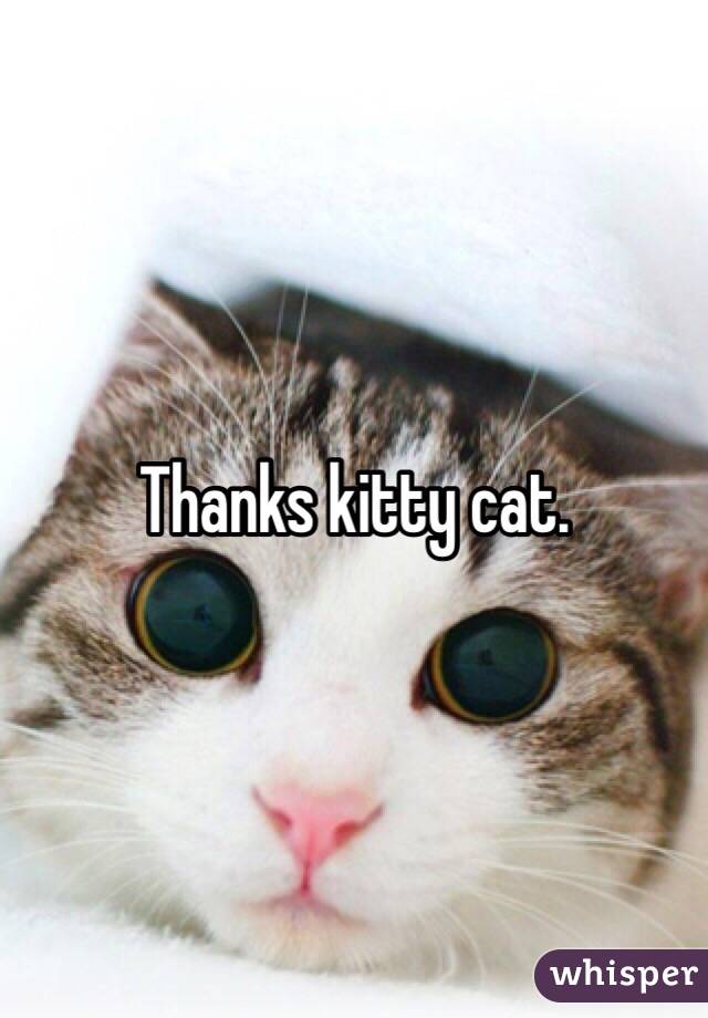 Thanks kitty cat. 