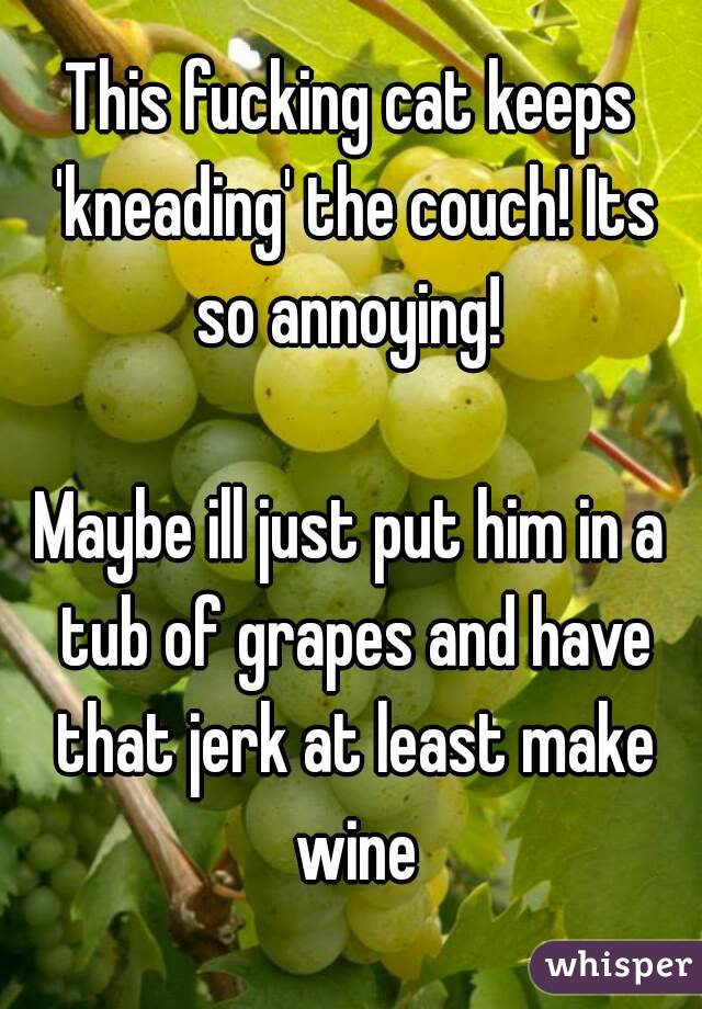 This fucking cat keeps 'kneading' the couch! Its so annoying! 

Maybe ill just put him in a tub of grapes and have that jerk at least make wine