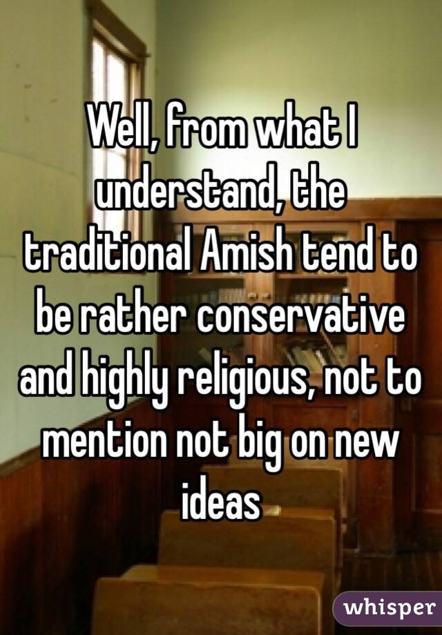Well, from what I understand, the traditional Amish tend to be rather conservative and highly religious, not to mention not big on new ideas