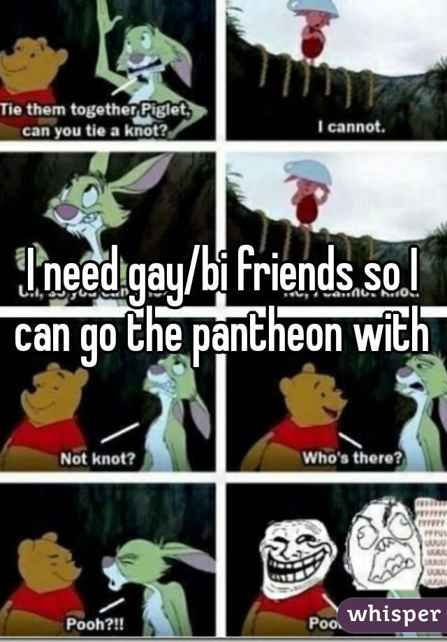 I need gay/bi friends so I can go the pantheon with 