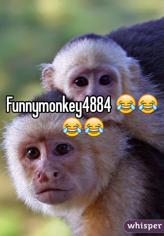 Funnymonkey4884 😂😂😂😂