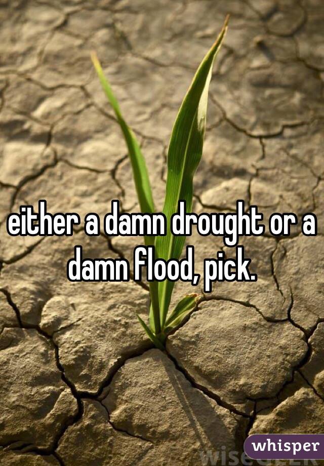 either a damn drought or a damn flood, pick. 