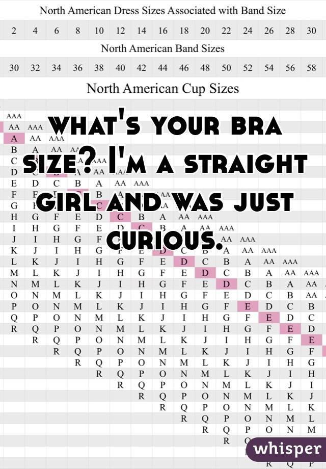 what's your bra size? I'm a straight girl and was just curious. 