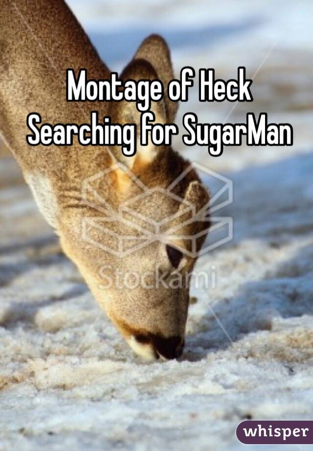 Montage of Heck
Searching for SugarMan